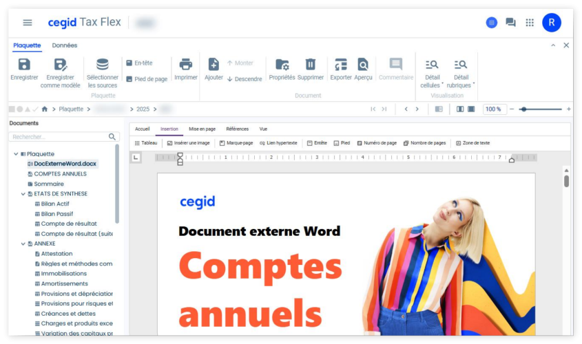 Cegid Tax Flex OpenSilver application with DevExpress RichEdit component